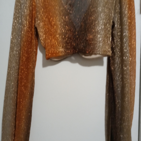 MadRag Multicolor Neutral Sparkle L/Sleeve V Neck Crop Top S - Picture 6 of 6